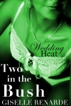 Wedding Heat: Two in the Bush bisexual erotica threesome